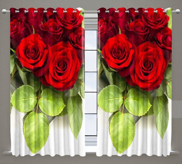 Household - Image 17
