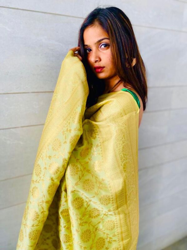 Banarasi Saree - Image 2